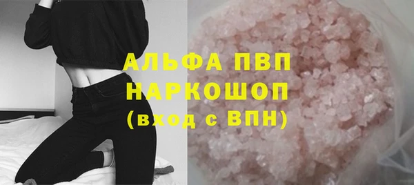 гидра Гусев