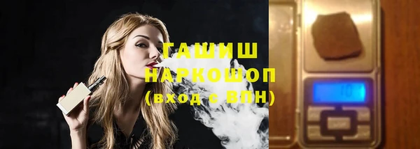 гидра Гусев