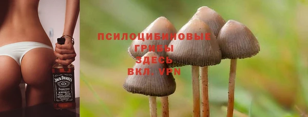 ALPHA PVP Гусиноозёрск