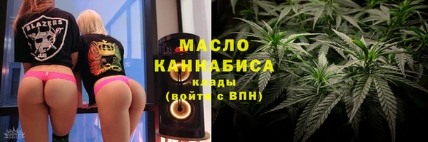 гидра Гусев